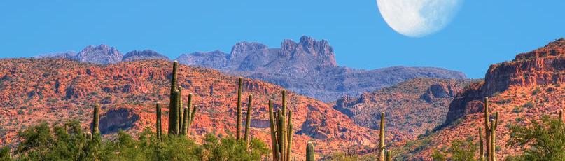 Sonoran desert at dusk