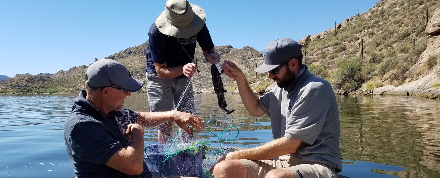 DEQ Officials pulling a fish out of a net